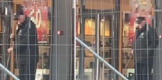 SCENA U ZEMUNU RAZBESNELA LJUBITELJE ŽIVOTINJA: Šta radiš tom jadnom psu, ČOVEČE, imaš li dušu? (VIDEO)