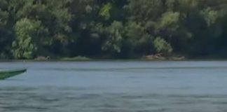 HITNO UKLJUČENJE MLADENA MIJATOVIĆA Pronađeno telo na Dunavu!