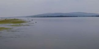 PRONAĐENO TELO NA OBALI DUNAVA!