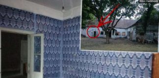 SRBI PRESTRAVLJENI ZBOG OGLASA: Prodaje se kuća sa placem od 24 ari stara više od VEKA, a NATPIS NA ZIDU ledi krv u žilama! (FOTO)