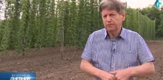 ZASADIŠ JEDNOM, RASTE 15 GODINA, DONOSI BOGATSTVO: Ratislav uzgaja pravo „blago“ od biljke, država daje 700.000 kao podsticaj