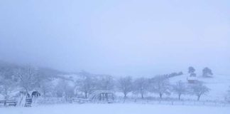 SNEG I SNAŽNO ZAHLAĐENJE STIŽU U SRBIJU Od +20 do MINUS 10 za samo par dana, što ste se sunčali – sunčali ste se!