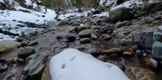 DANAS JE PLAVI PONEDELJAK! Evo šta kažu stručnjaci