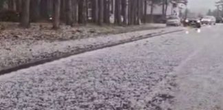 USPELI DA NAPRAVE SNEŠKA USRED AVGUSTA NA ZLATIBORU! Neverovatan prizor na srpskoj planini! (FOTO)