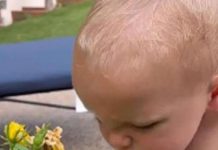 Urnebesni video bebe koja ima prečudnu reakciju kada pomiriše cveće: Ljudi ne mogu da prestanu da gledaju ovo