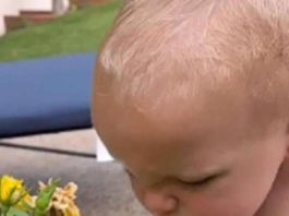 Urnebesni video bebe koja ima prečudnu reakciju kada pomiriše cveće: Ljudi ne mogu da prestanu da gledaju ovo