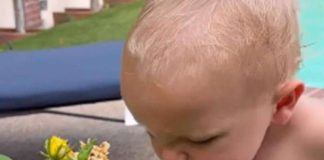 Urnebesni video bebe koja ima prečudnu reakciju kada pomiriše cveće: Ljudi ne mogu da prestanu da gledaju ovo
