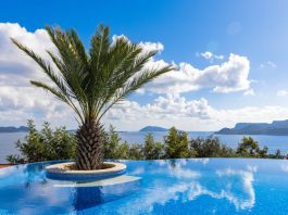 Najpopularnije egzotične destinacije za 2026. godinu Palma, bazen i more